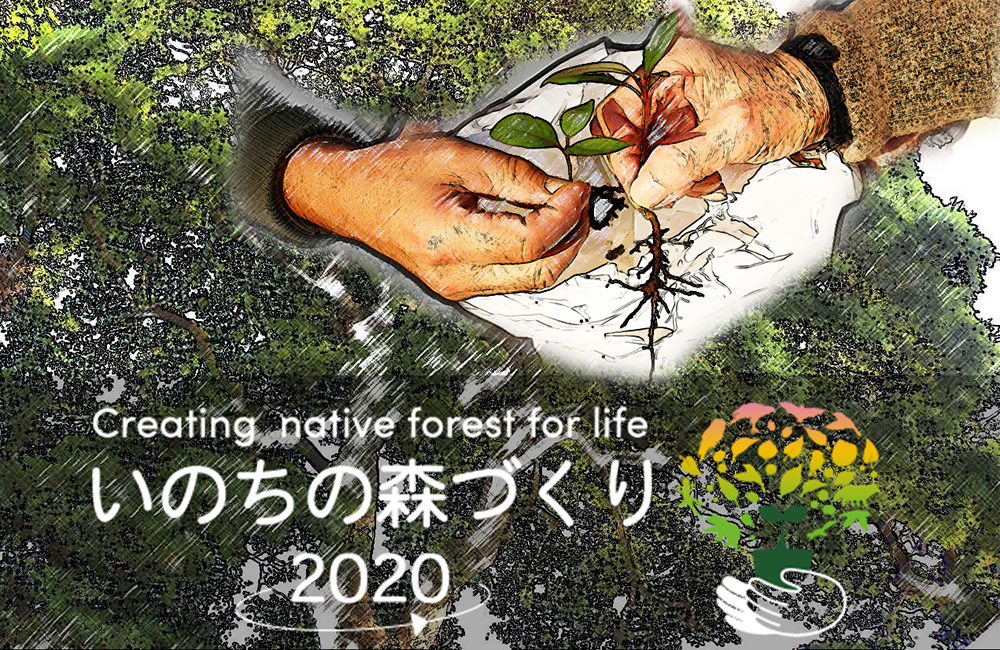 いのちの森づくり2020↗未来へ | 環境省「つなげよう、支えよう森里川 